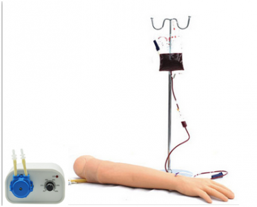 Fully functional venipuncture arm model: an important partner for medical training