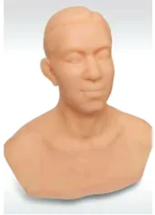 Acupuncture head training model: accurate positioning to improve acupuncture skills