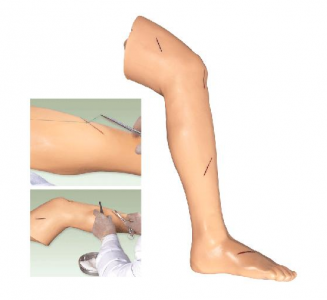 A good helper for surgical interns: leg suture training model