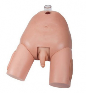From Theory to Practice: Can bladder puncture models help you get the needle in place?
