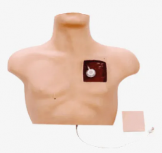 What operational training is the intravenous intervention training model suitable for?