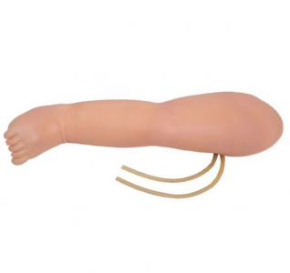 What are the advantages and limitations of the infant leg venipuncture model in training?