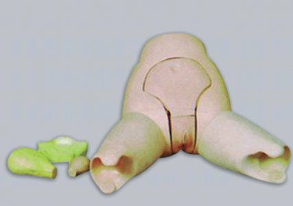 What is the future trend of the evaluation model of the uterine floor examination?