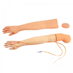 How does venipuncture infusion Model accompany the growth of medical students