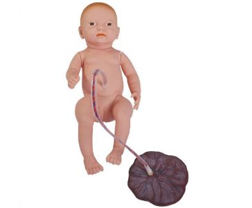 What are the advantages of using the neonatal umbilical cord care model for training