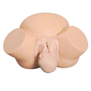 Whether midwifery training model can cope with various complicated delivery situations