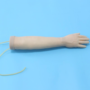 Venipuncture Infusion Model: How to accurately simulate the human venous system