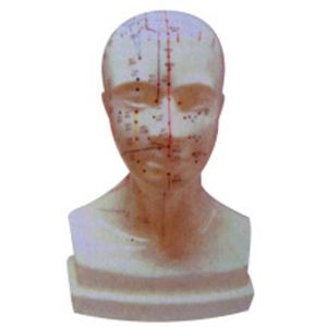 What is the role of the four-function point model on the head in teaching and practice?