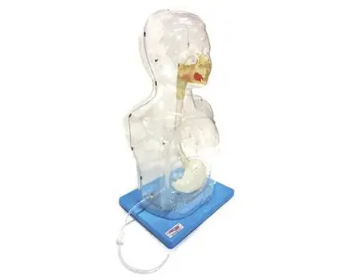 How does the multifunctional transparent nasal feeding Model promote nasal feeding care