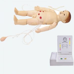 One year old comprehensive first aid training model: an assistant to improve first aid skills