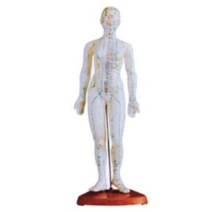 Why a women-only acupuncture model?