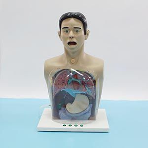 Multi-functional transparent nasal feeding, so that nasal feeding care becomes clear