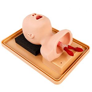 Improve your skills. Does the newborn Tracheal intubation training model really work?