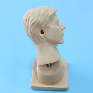 Can advanced ear examination simulation effectively improve clinical skills and diagnostic efficiency?