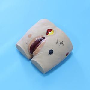  Advanced bedsore Care model: Can it provide a real experience for caregivers? 