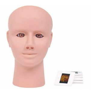 Advanced ocular retinopathy examination model