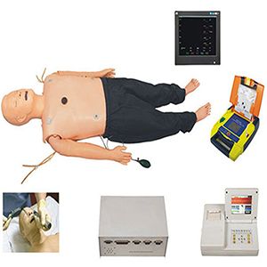 Advanced multi-functional adult first aid training manikin