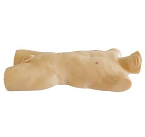  Bone marrow puncture training model