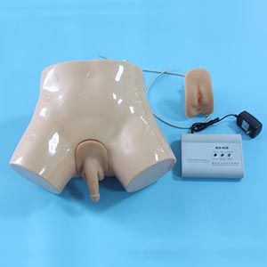 A new electronic catheterization and enema practice model