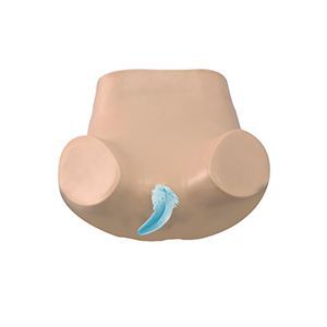 Advanced gynecological training model