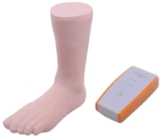 The operation method of the ankle joint puncture model