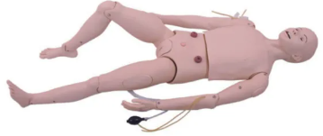 The three-chamber and two-tube operation training model