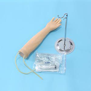 Arm venipuncture training model