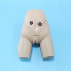 The role of advanced female catheterization models