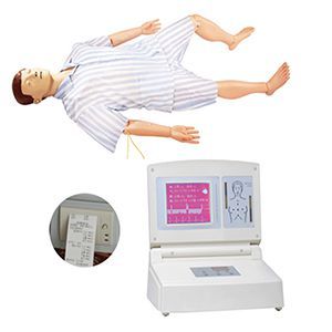 The role of the simulation manikin in emergency care training