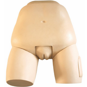 The role of the uterine fundus examination and evaluation model