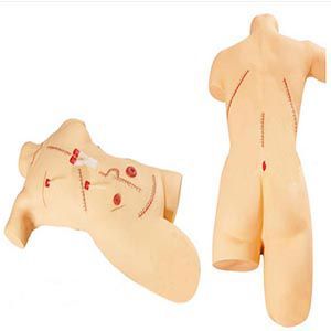 The function of the surgical suture and bandaging display model