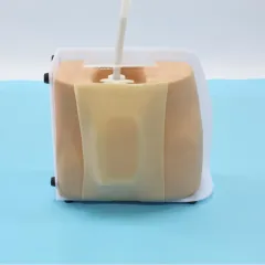 Application scenarios of the spinal puncture model