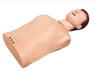 The significance of the electronic half-body CPR training simulator