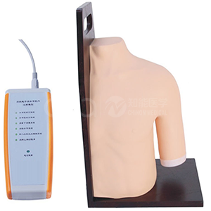 Shoulder Joints Intracavity Injection Training Model