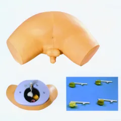 050704.png