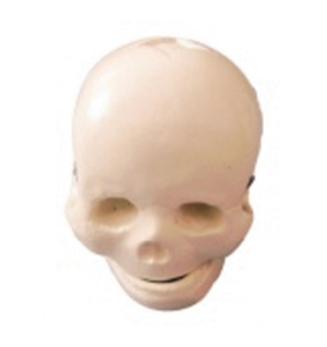 5144295.png