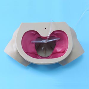 gynecology training model