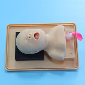 Neonatal Tracheal intubation training model