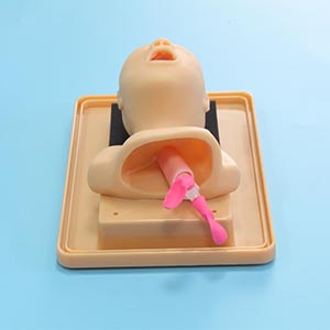 Tracheal Intubation training model