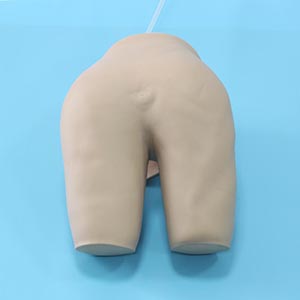 Medical teaching model