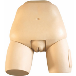 Advanced fundus evaluation Model