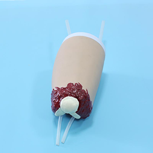 Hemostatic model of lower extremity trauma amputation