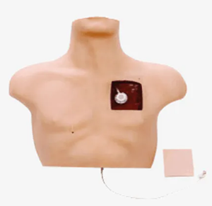 Venous intervention training model